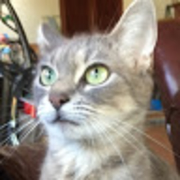 Meet your Posher, Debani - Picture 1 of 1